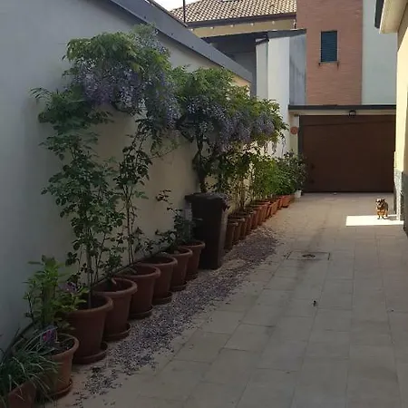 Monteceneri 9 4*