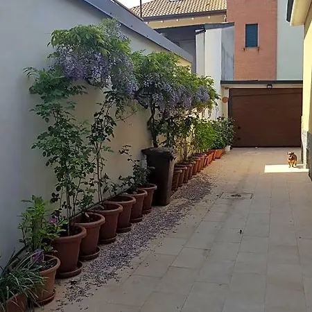 Monteceneri 9