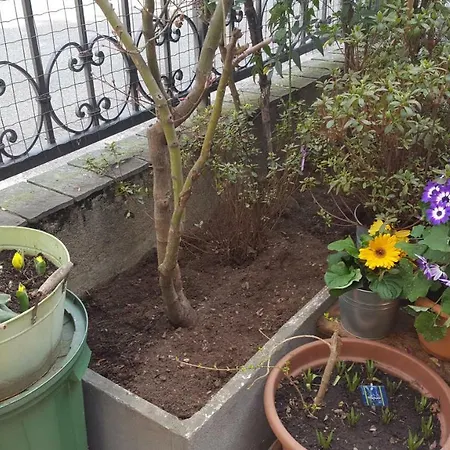 Bed & Breakfast Monteceneri 9 Rho