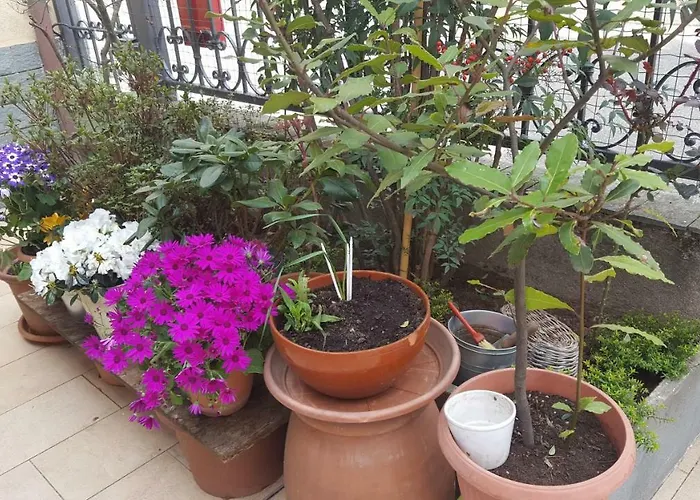 Monteceneri 9 فندق مبيت وإفطار 4*