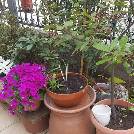 Monteceneri 9 B&B 4*